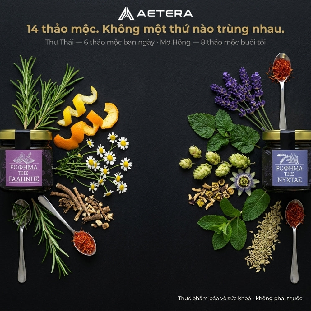 AETERA – Bộ đôi Ngày & Đêm | Thư Thái + Mơ Hồng