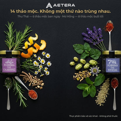 AETERA – Bộ đôi Ngày & Đêm | Thư Thái + Mơ Hồng