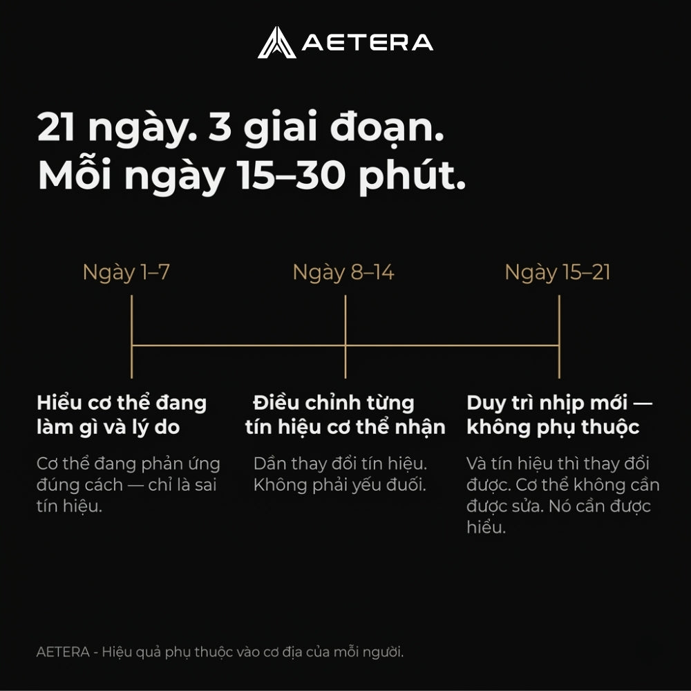 AETERA - Lộ trình 21 ngày làm chủ Thần Kinh