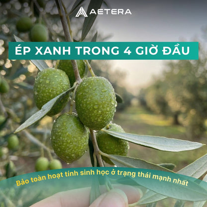 AETERA OLIVE ÉP XANH (250ML)