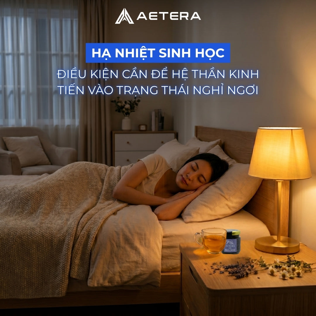 AETERA MẬT ONG BAN ĐÊM