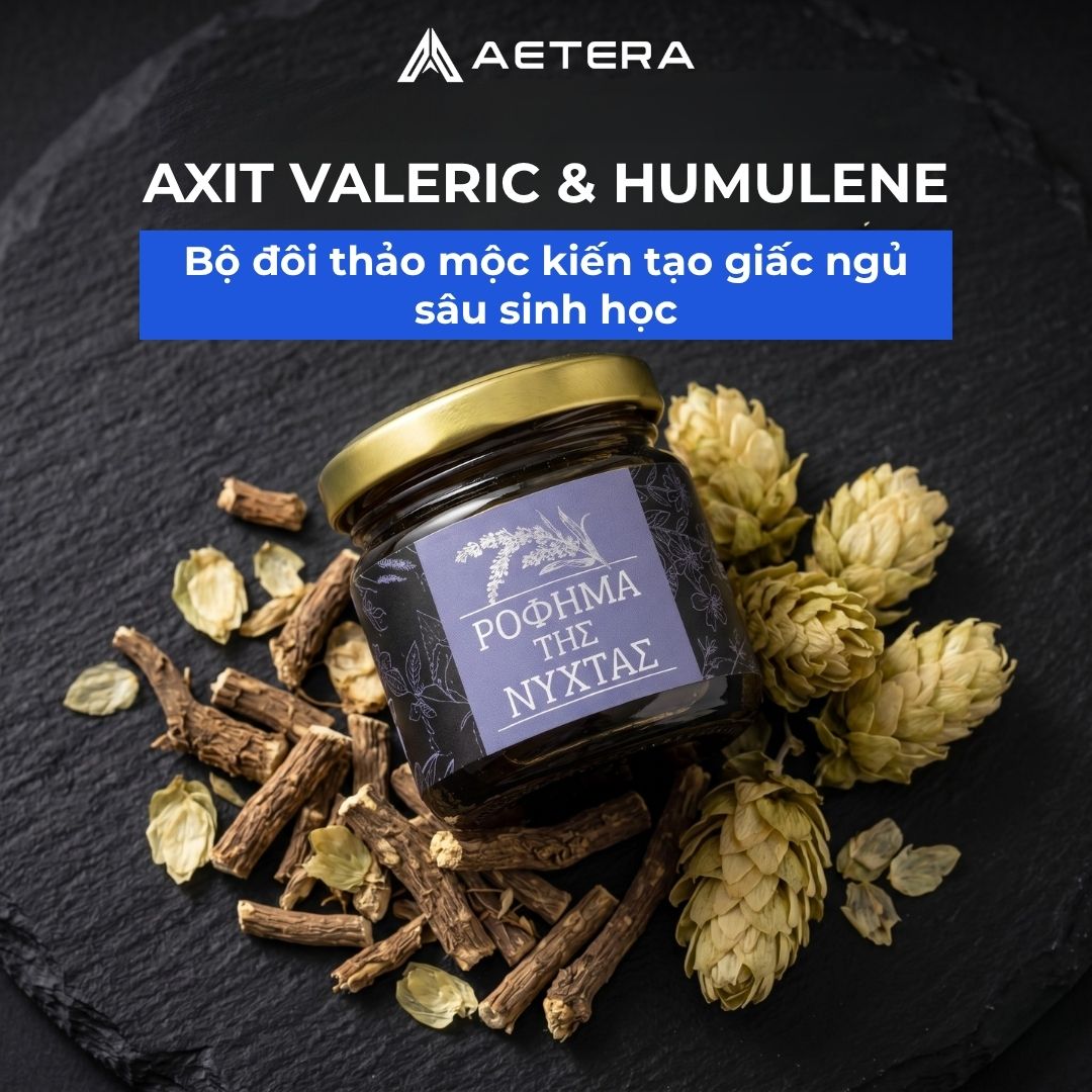 AETERA MẬT ONG BAN ĐÊM