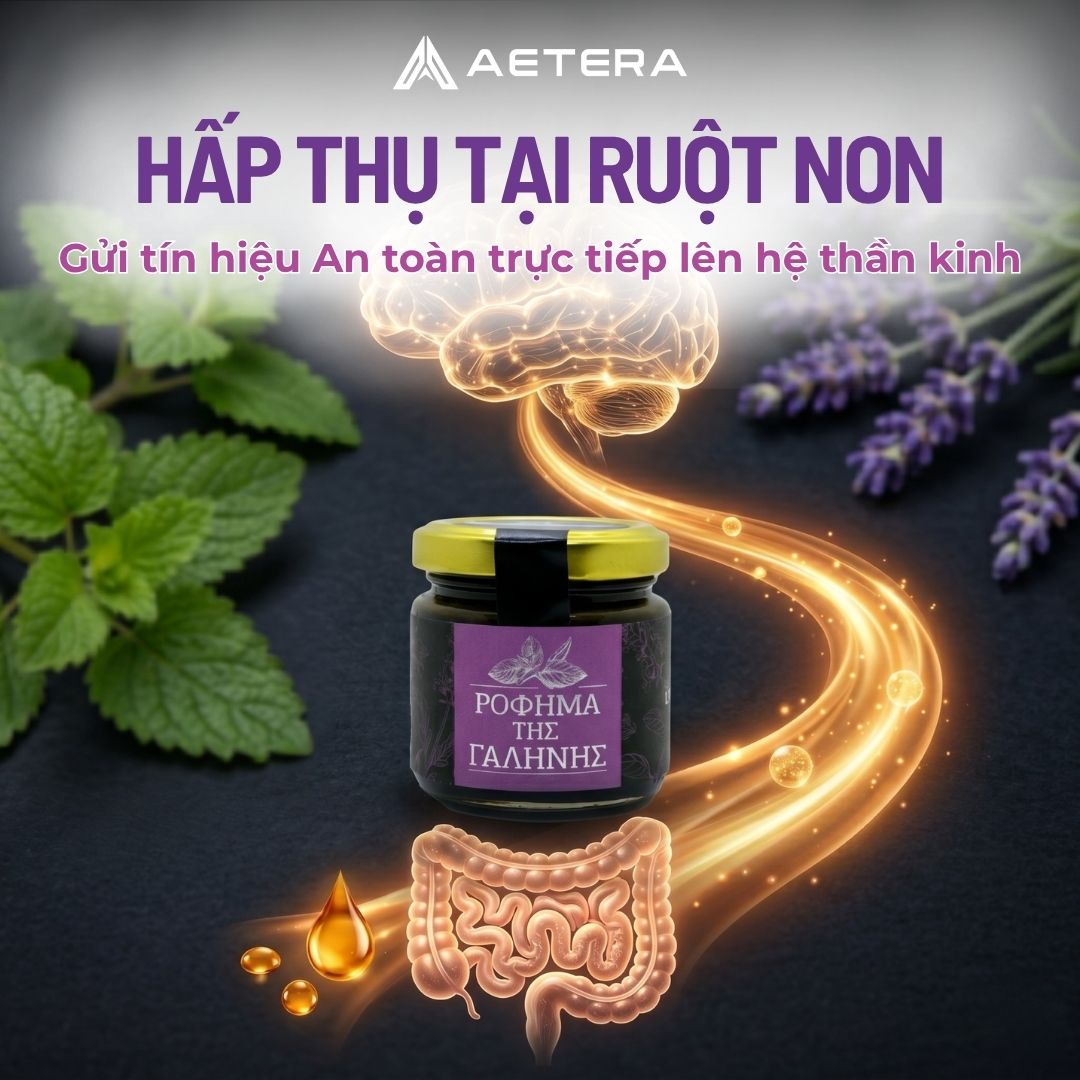 AETERA MẬT ONG BÌNH AN